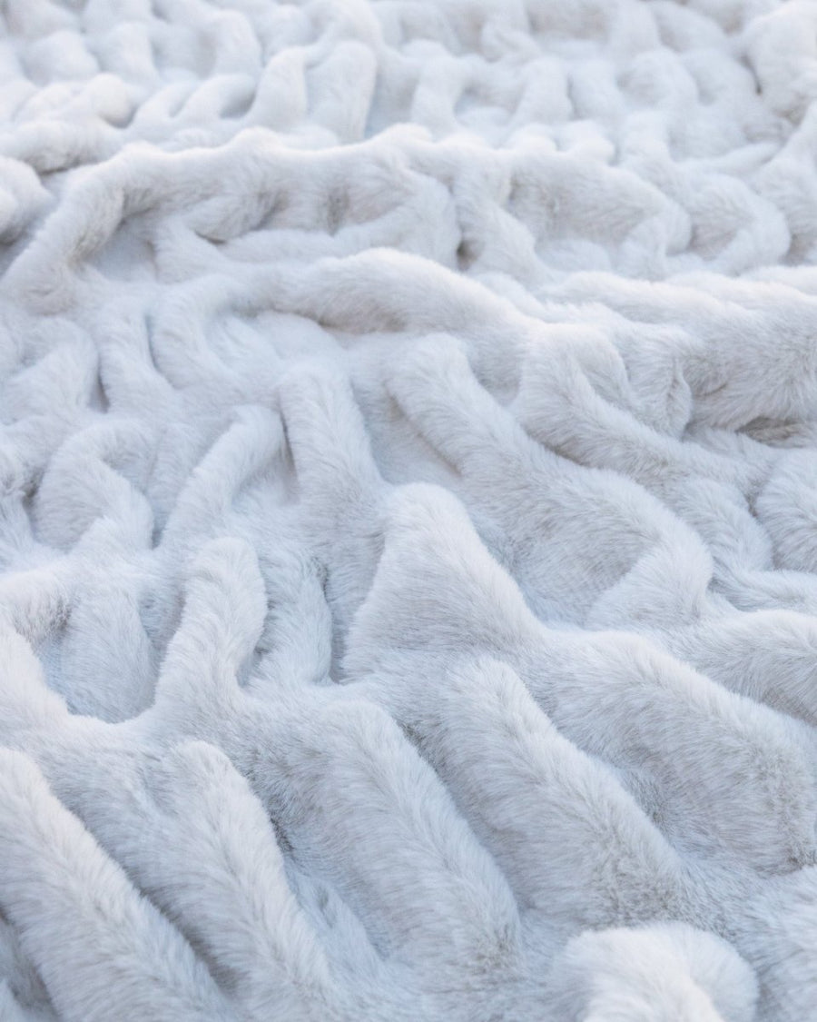 The Jet Set - Keiki Co.